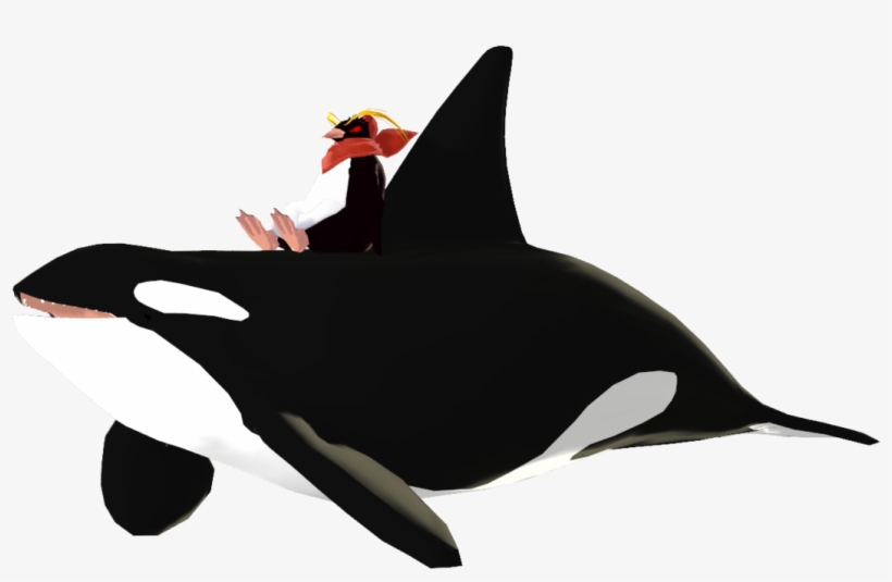 Detail Killer Whale Website Mouse Nomer 12
