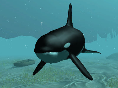 Detail Killer Whale Website Mouse Nomer 18