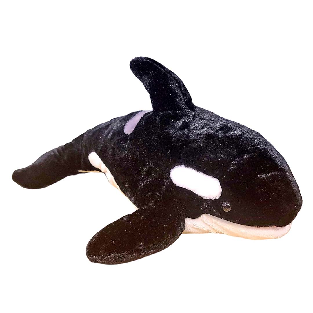 Detail Killer Whale Website Mouse Nomer 32