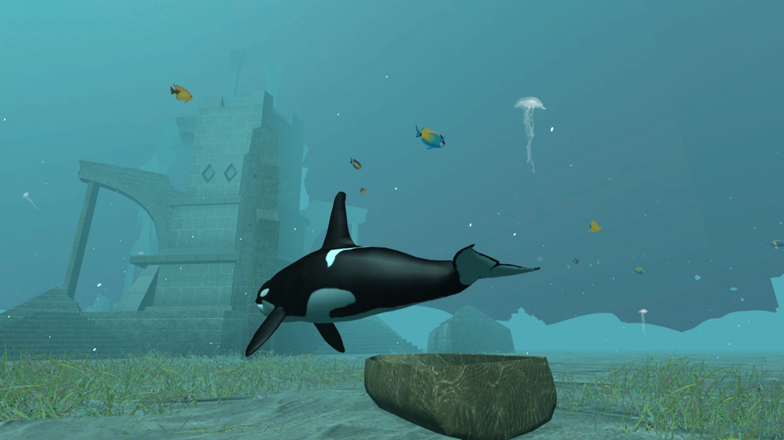 Detail Killer Whale Website Mouse Nomer 33