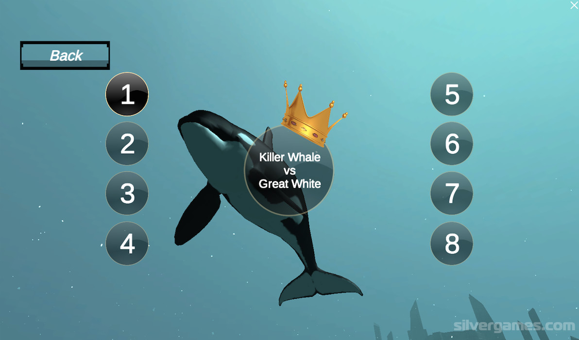 Detail Killer Whale Website Mouse Nomer 37