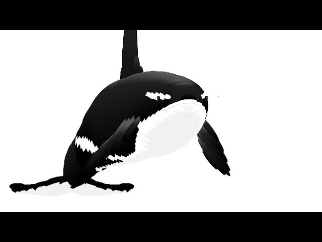 Detail Killer Whale Website Mouse Nomer 44