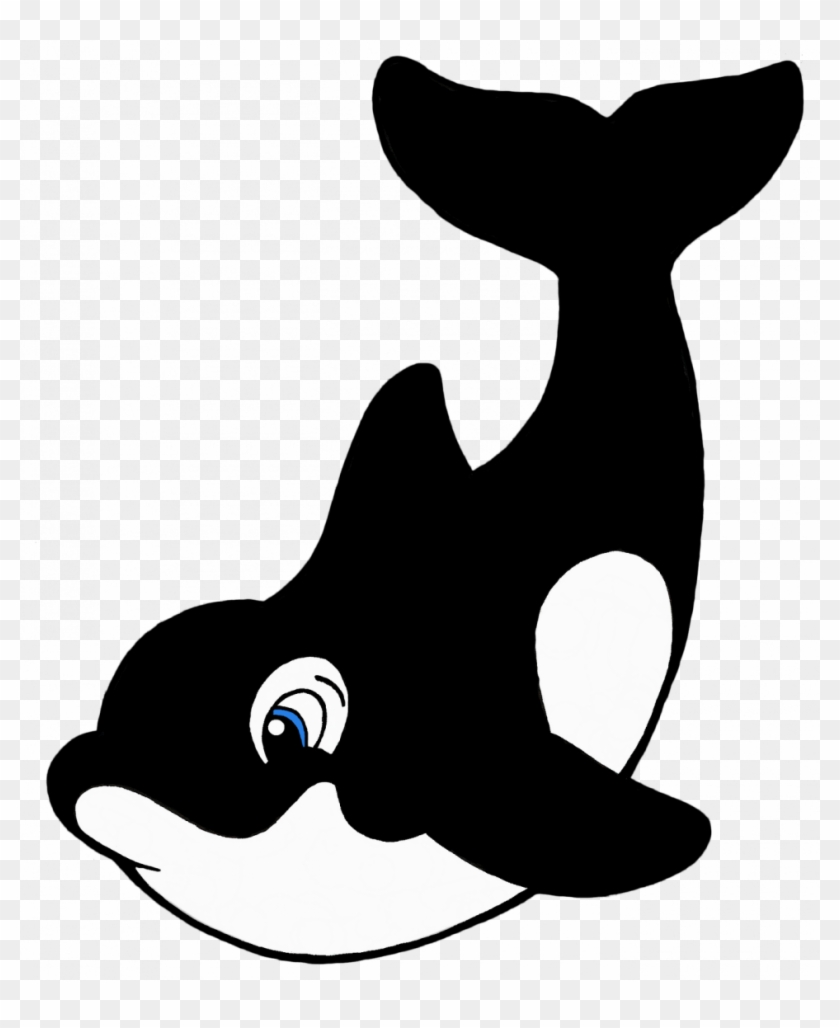 Detail Killer Whale Website Mouse Nomer 48