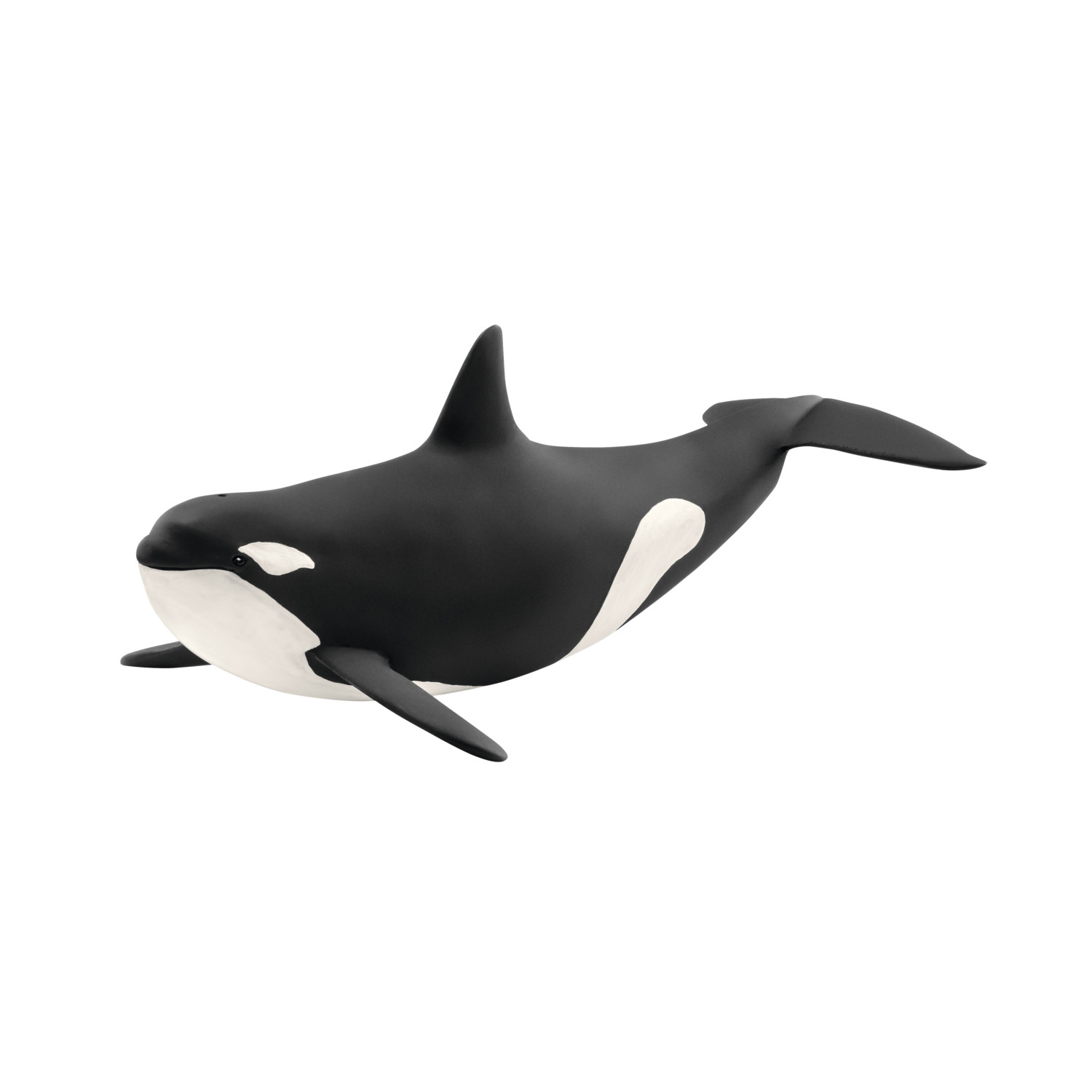 Detail Killer Whale Website Mouse Nomer 49