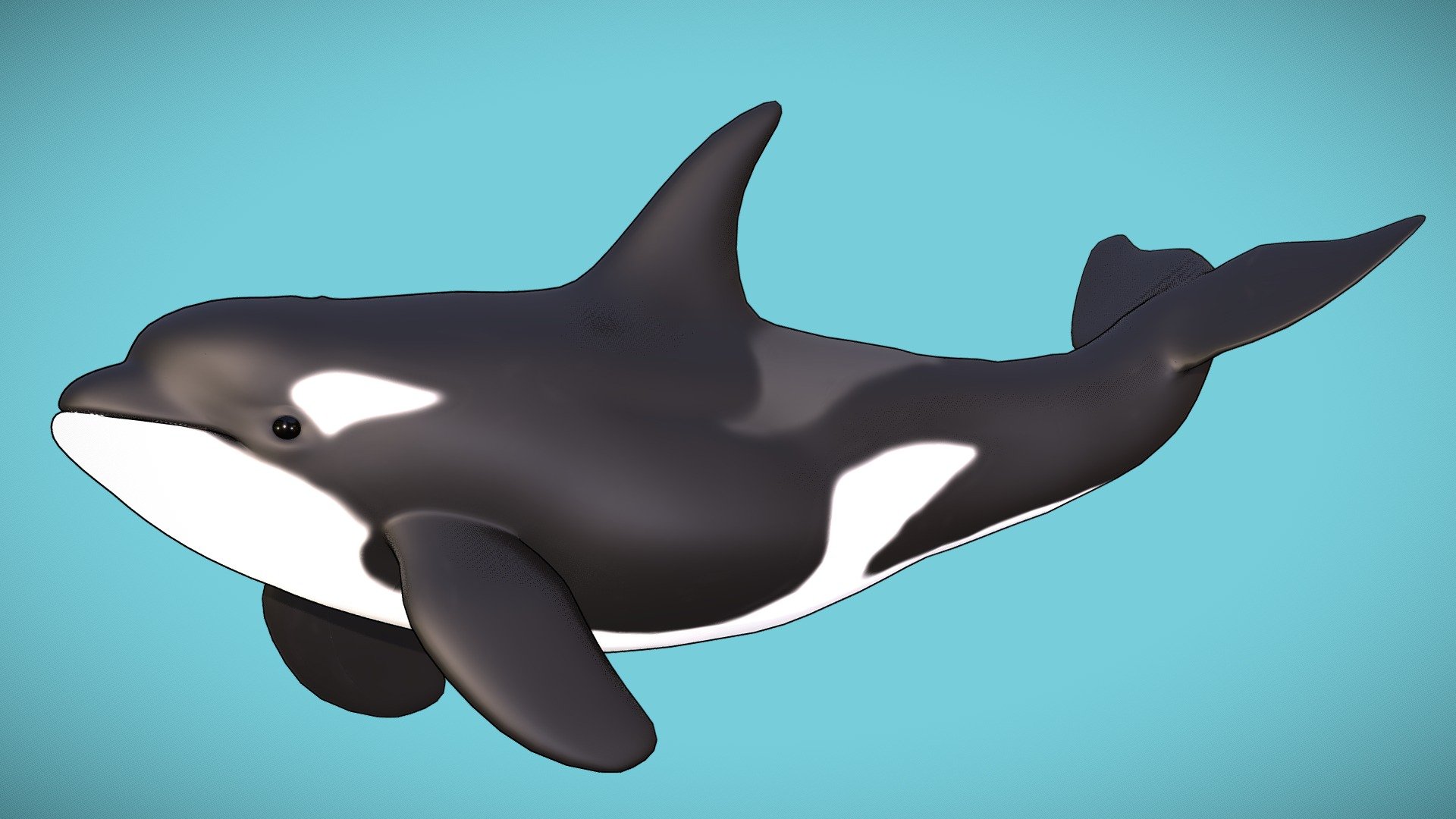 Detail Killer Whale Website Mouse Nomer 52