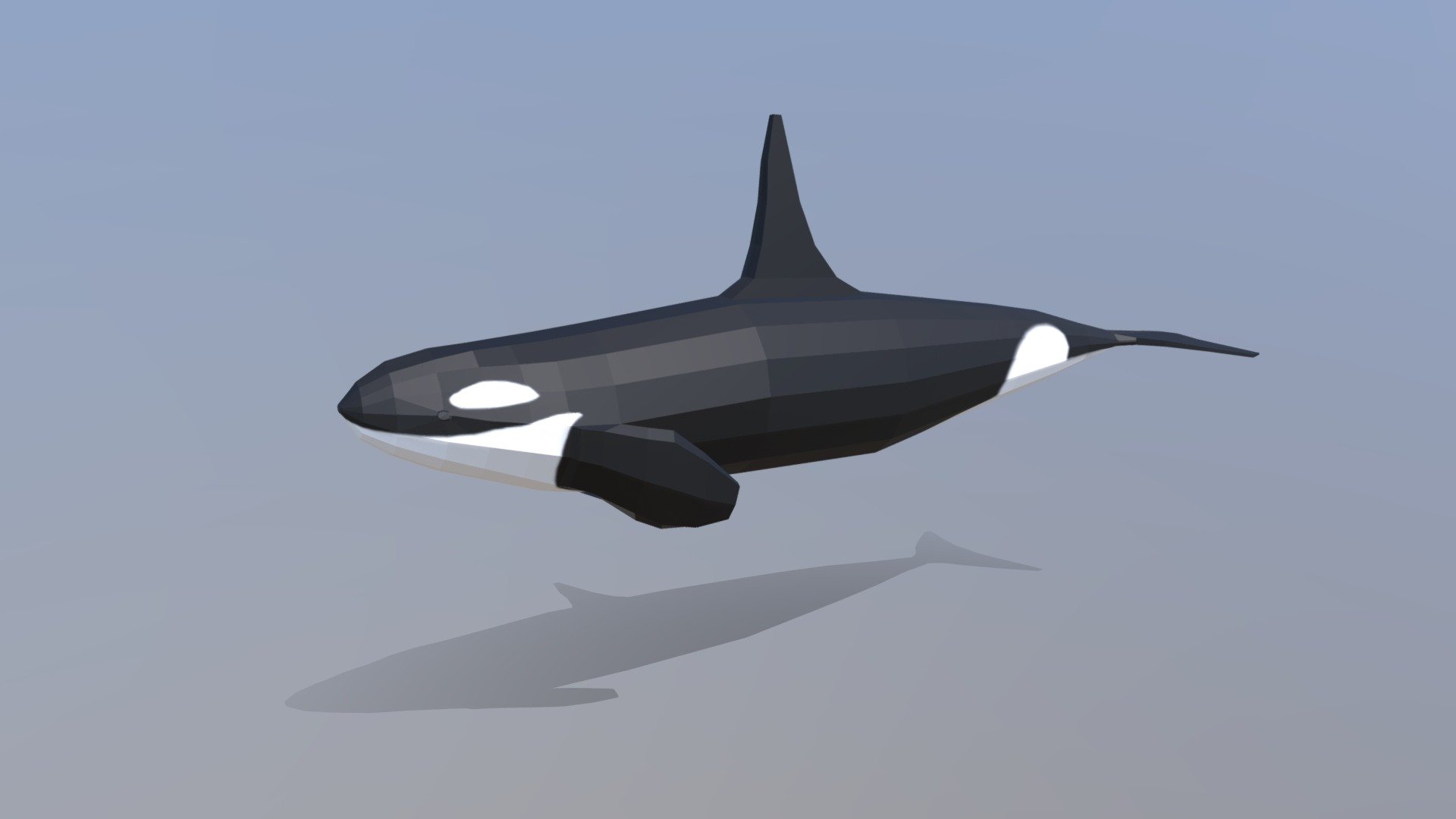 Detail Killer Whale Website Mouse Nomer 55