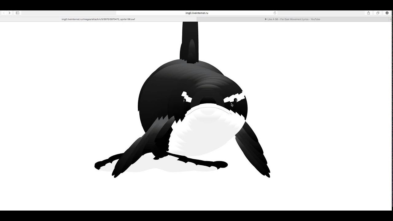 Detail Killer Whale Website Mouse Nomer 7
