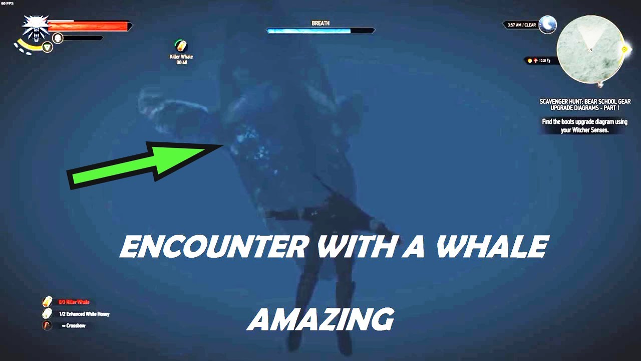 Detail Killer Whale Witcher 3 Nomer 2