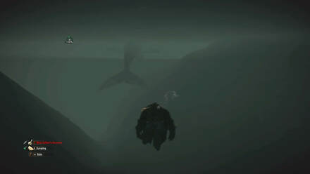 Detail Killer Whale Witcher 3 Nomer 14