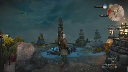 Detail Killer Whale Witcher 3 Nomer 15
