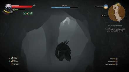 Detail Killer Whale Witcher 3 Nomer 16