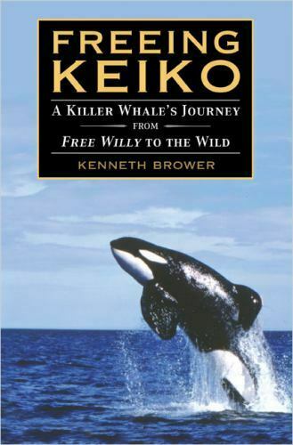 Detail Killer Whale Witcher 3 Nomer 33