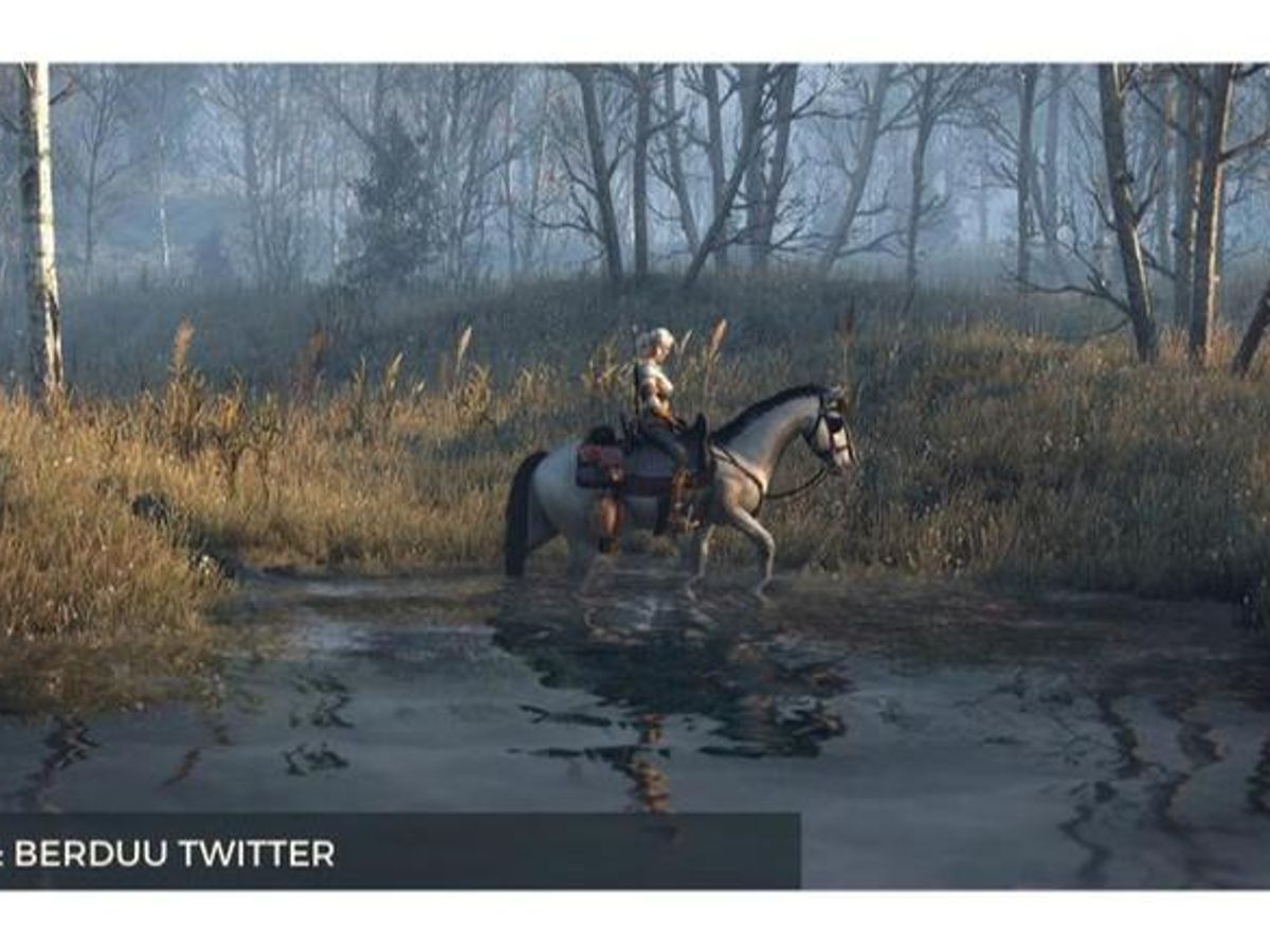Detail Killer Whale Witcher 3 Nomer 35