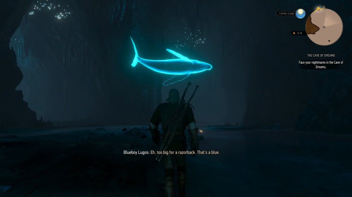 Detail Killer Whale Witcher 3 Nomer 39