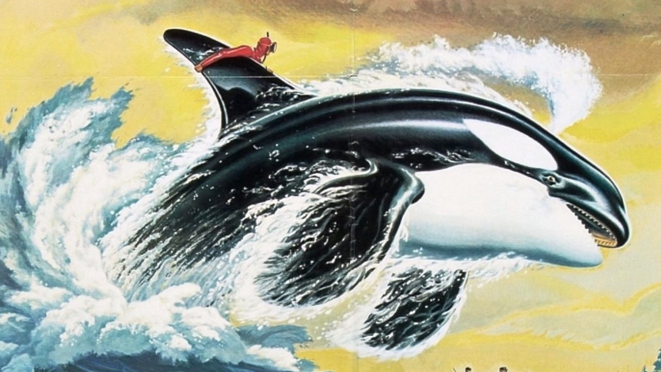 Detail Killer Whale Witcher 3 Nomer 40