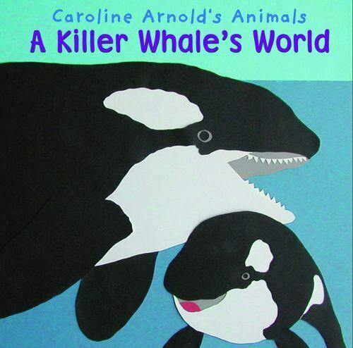 Detail Killer Whale Witcher 3 Nomer 41