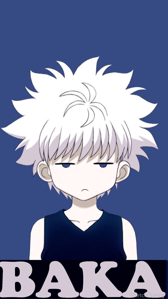 Detail Killua Zoldyck Wallpaper Nomer 22