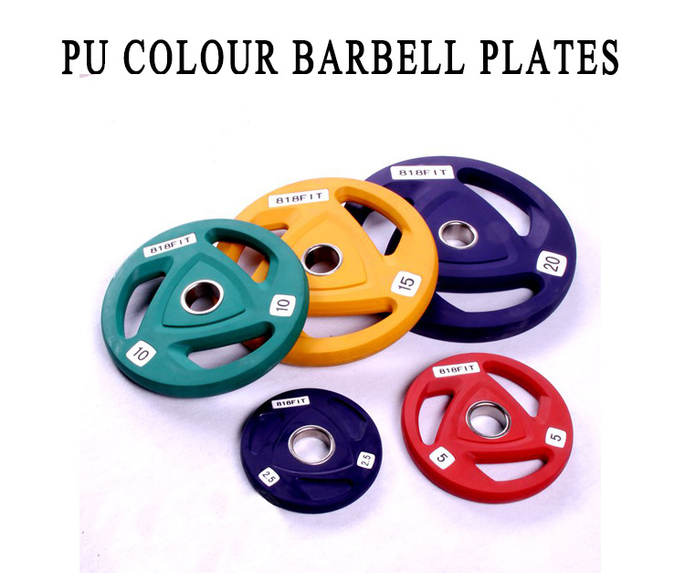 Detail Kilogram Plates Nomer 48