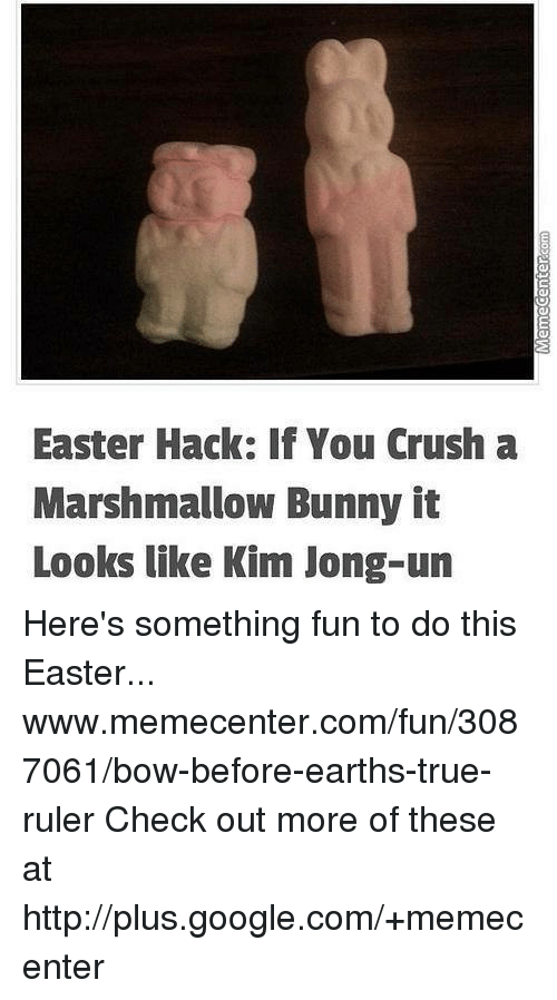 Detail Kim Jong Un Marshmallow Bunny Nomer 19