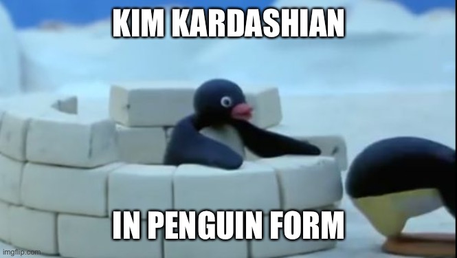 Detail Kim Kardashian Penguin Meme Nomer 18