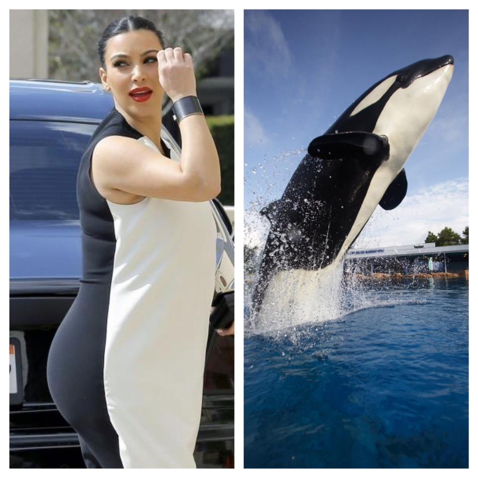 Detail Kim Kardashian Whale Meme Nomer 3