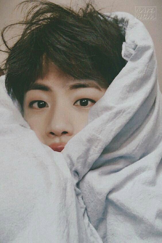 Detail Kim Seokjin Cute Nomer 10