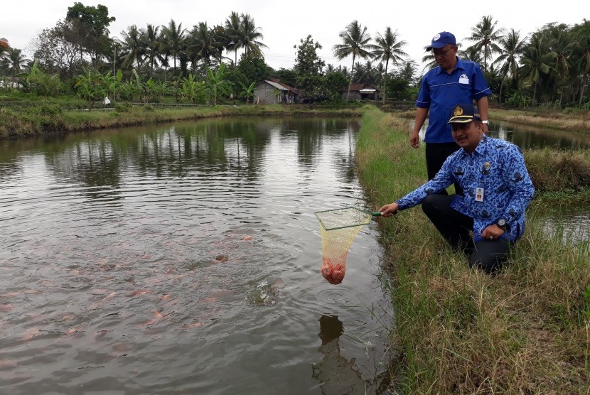 Detail Kincir Air Bambu Memancing Nomer 56