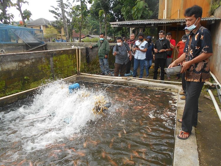 Detail Kincir Air Kolam Ikan Nomer 34