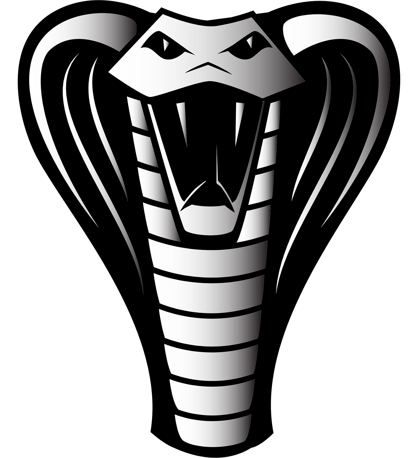 Detail King Cobra Clip Art Nomer 29