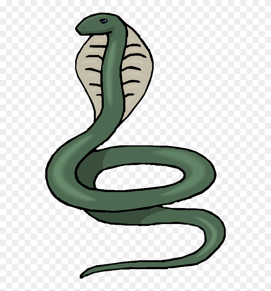 Detail King Cobra Clip Art Nomer 6