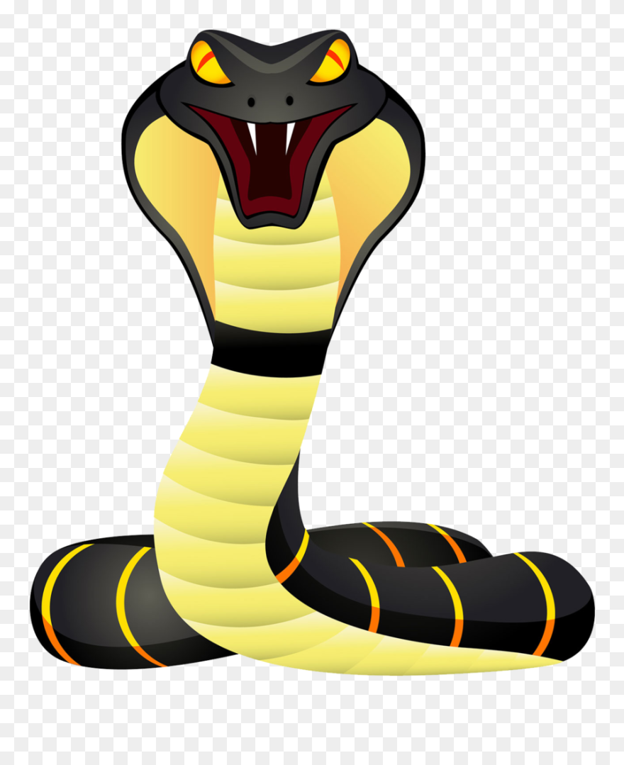 Detail King Cobra Clipart Nomer 12