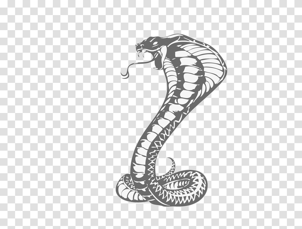 Detail King Cobra Clipart Nomer 43