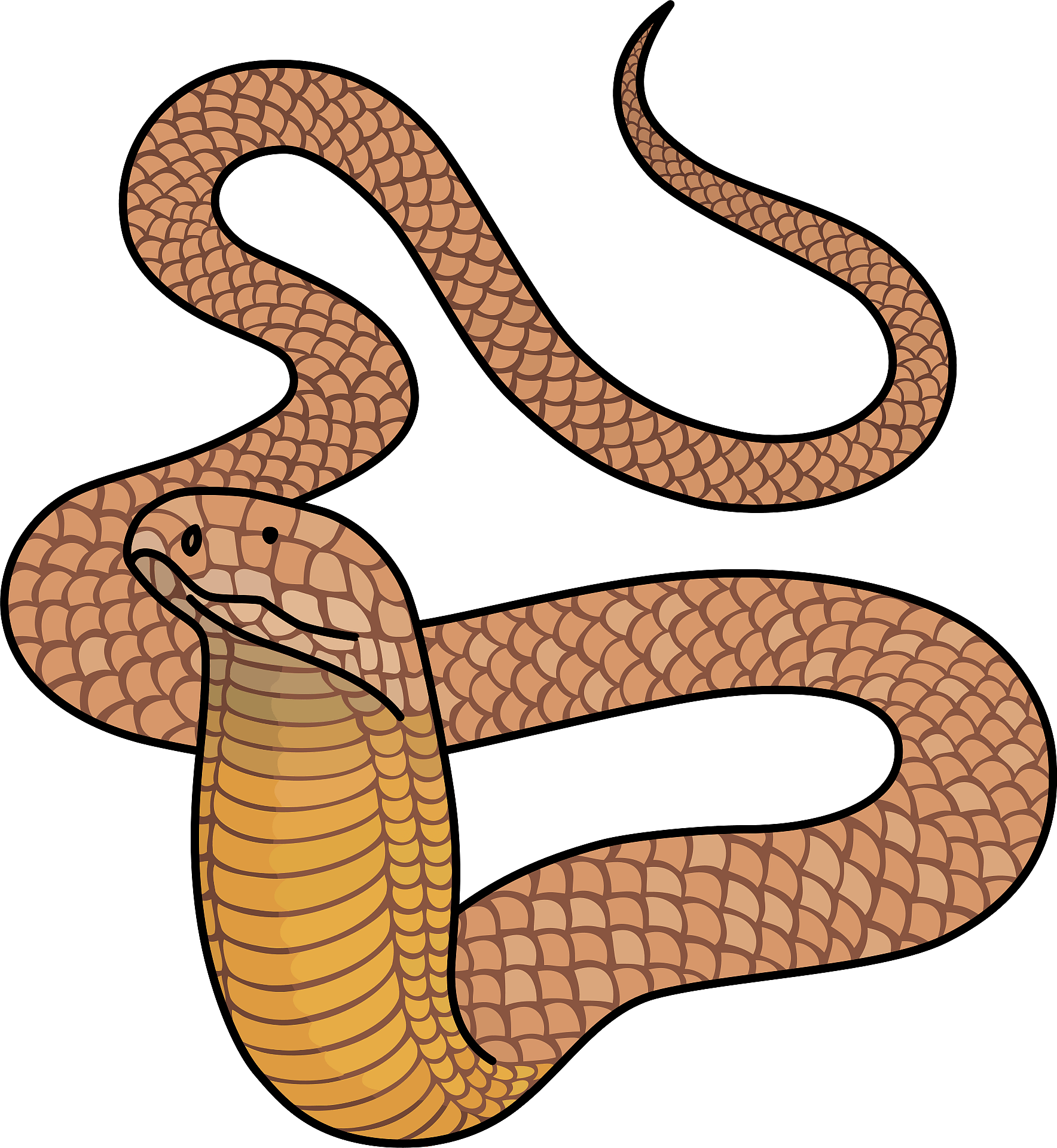 Detail King Cobra Clipart Nomer 47