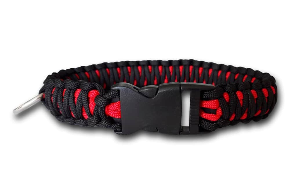 Detail King Cobra Dog Collar Nomer 23