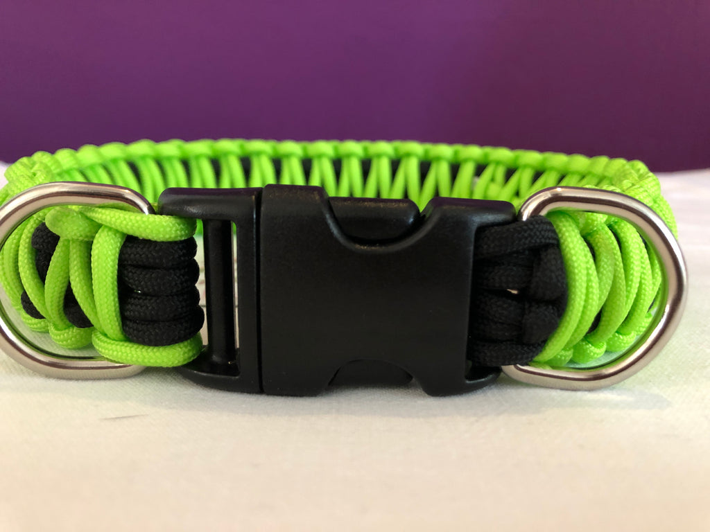 Detail King Cobra Dog Collar Nomer 31