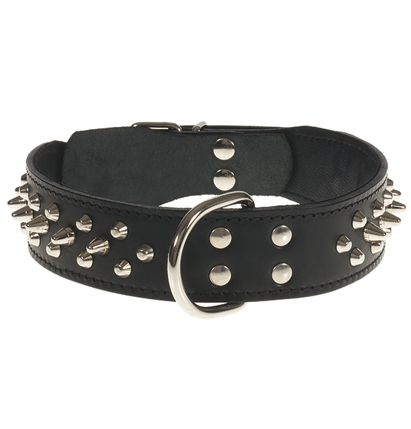 Detail King Cobra Dog Collar Nomer 41