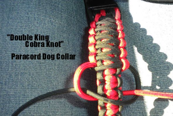 Detail King Cobra Dog Collar Nomer 6