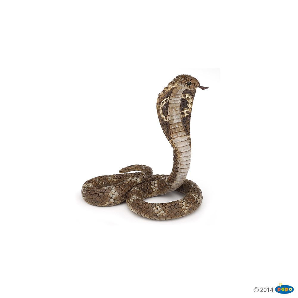 Detail King Cobra Images Nomer 45