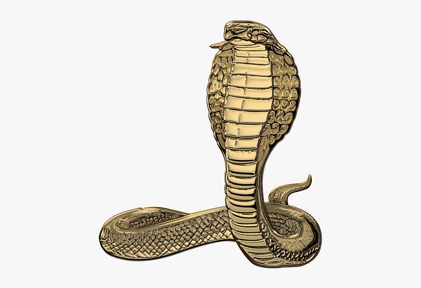Detail King Cobra Png Nomer 21