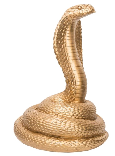 Detail King Cobra Png Nomer 23
