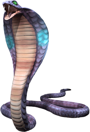 Detail King Cobra Png Nomer 25
