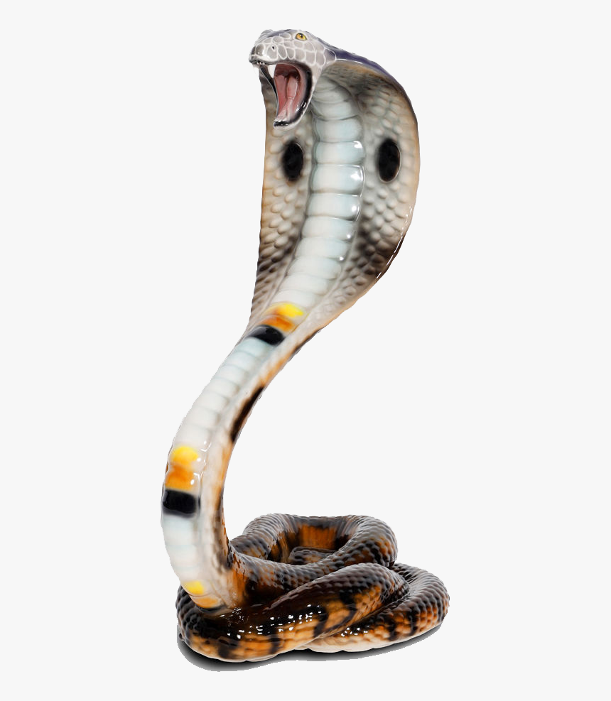 Detail King Cobra Png Nomer 26