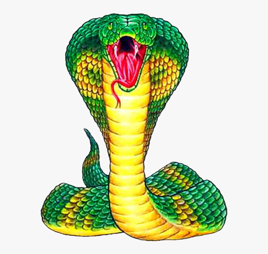 Detail King Cobra Png Nomer 27