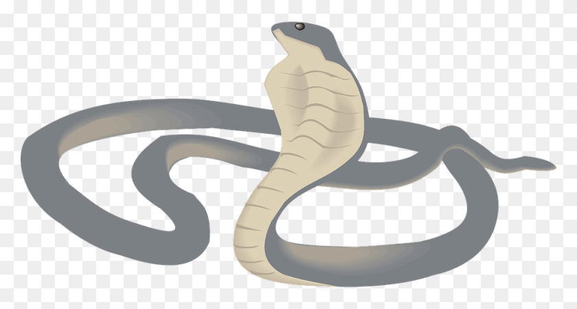 Detail King Cobra Png Nomer 31
