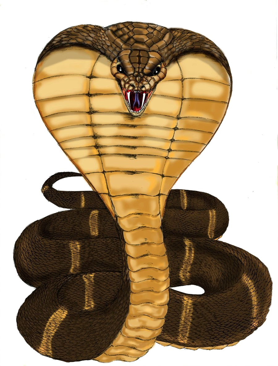 Detail King Cobra Png Nomer 42