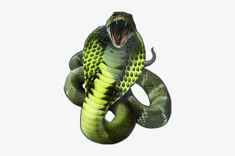 Detail King Cobra Png Nomer 48