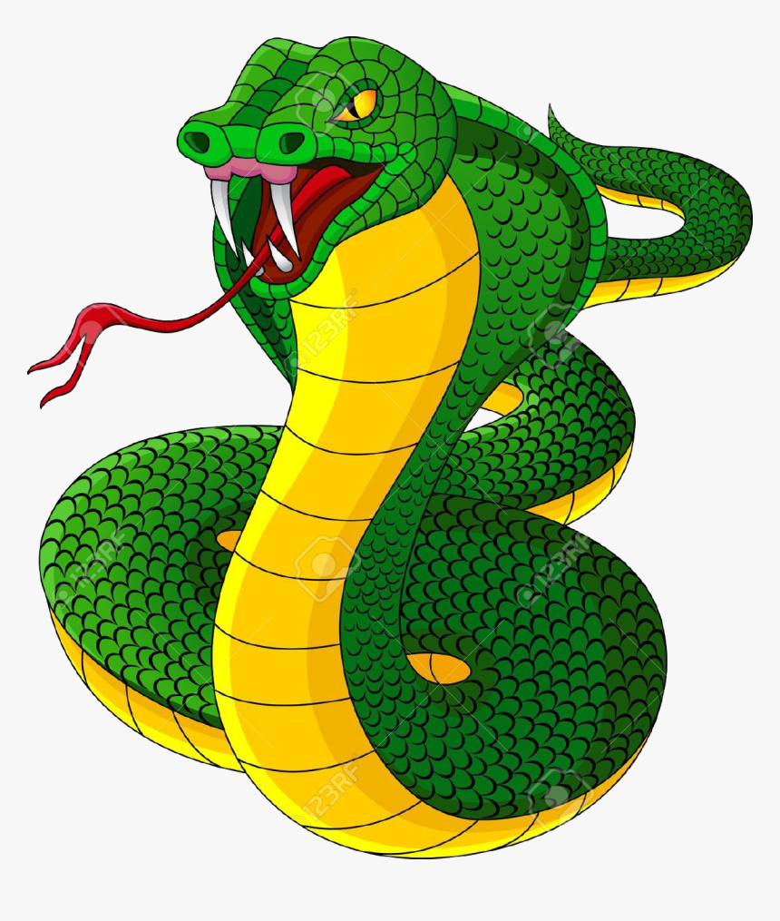 Detail King Cobra Png Nomer 50