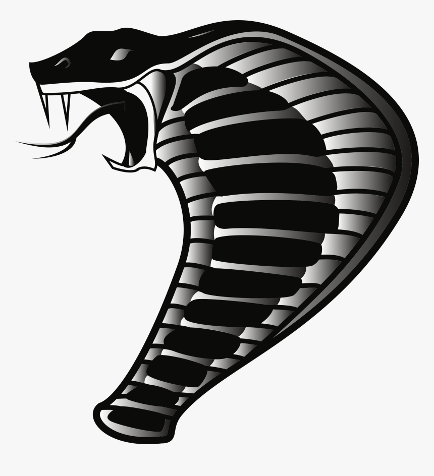 Detail King Cobra Png Nomer 51