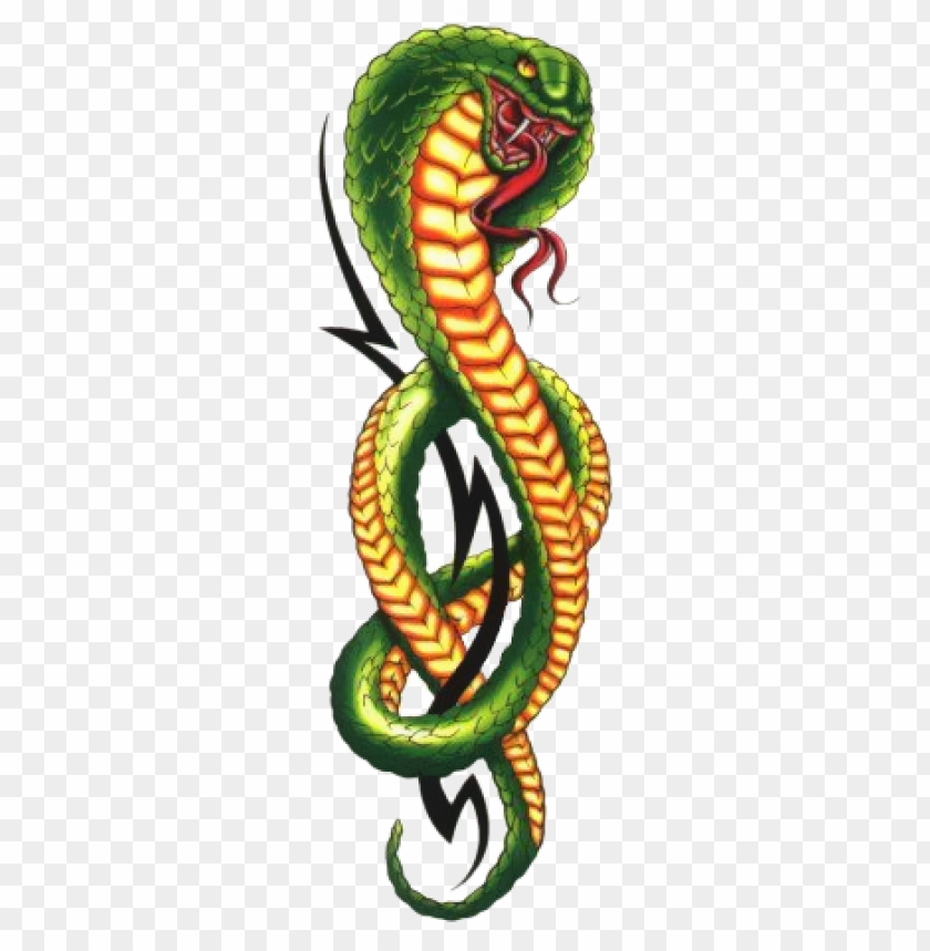 Detail King Cobra Png Nomer 54