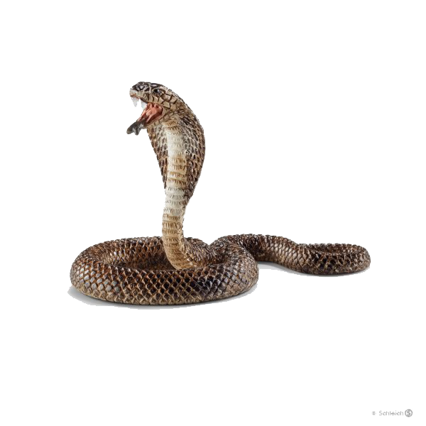 Detail King Cobra Png Nomer 58